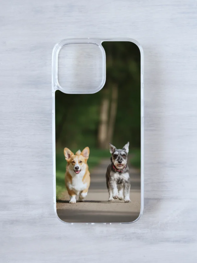 telefonikaan oma pildiga näidis 4