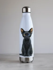 "Must kass" kujundusega veepudel, PC500