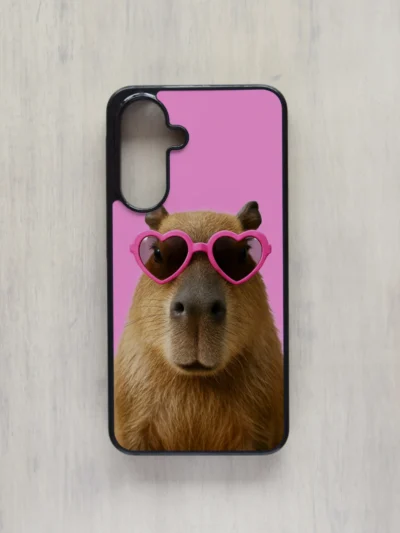 Samsung kaas "Kapibaara"