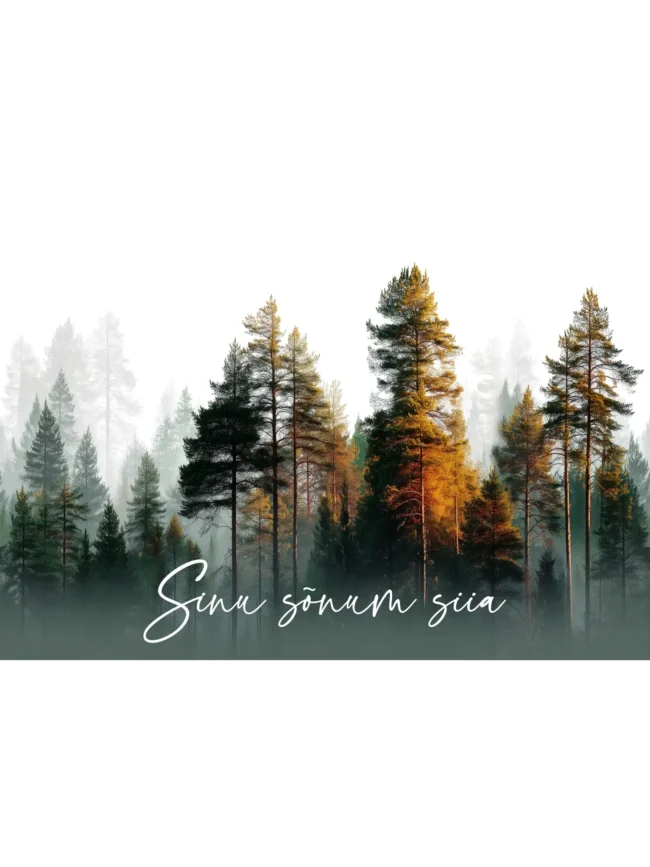 Foto hommikusest metsast, puud, udu ja soe päikesevalgus ning personaliseeritav tekst.